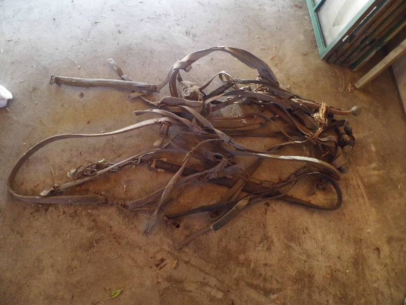 Vintage Horse Tack