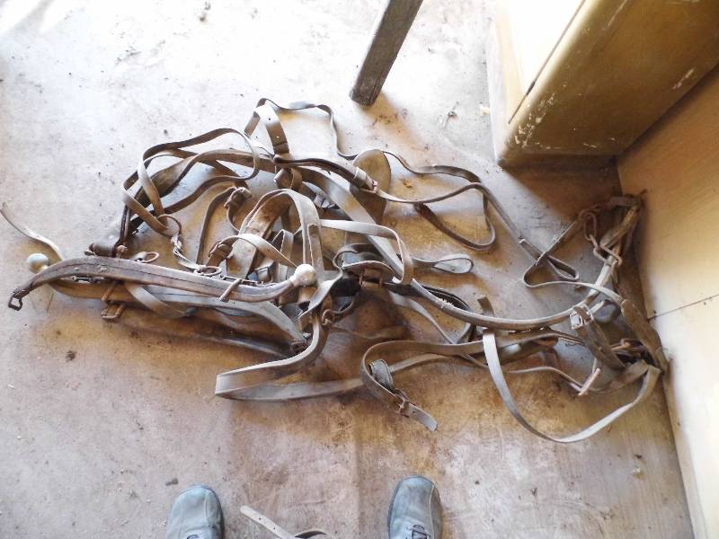 Vintage Horse Tack