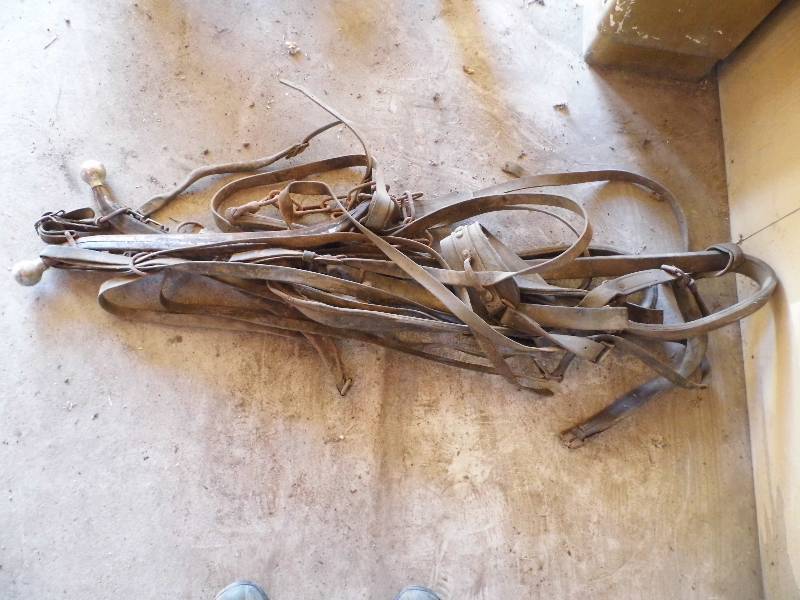 Vintage Horse Tack