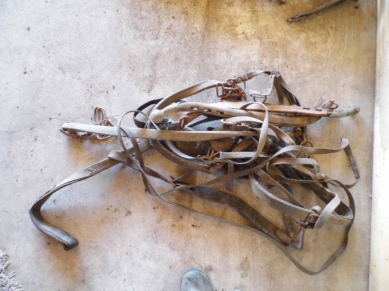 Vintage Horse Tack