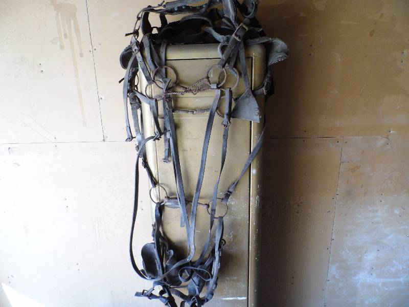 Vintage Horse Tack