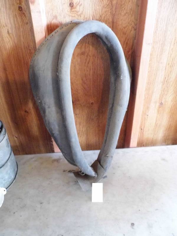 Horse Collar