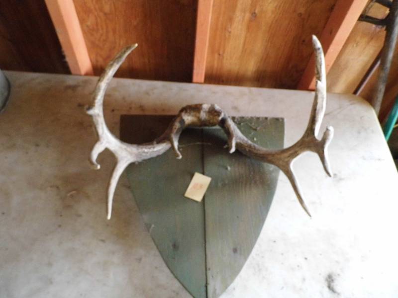 Antlers