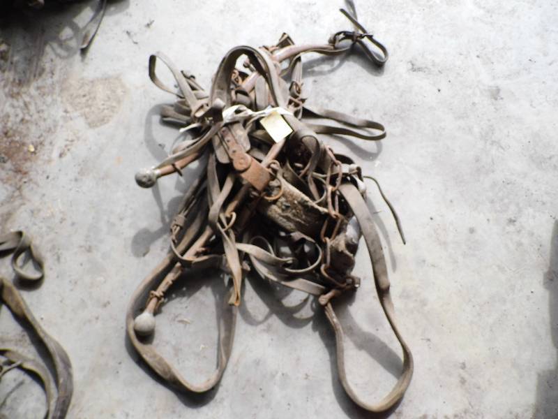 Vintage Horse Tack