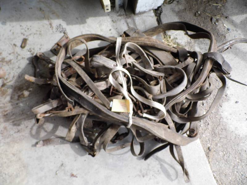 Vintage Horse Tack