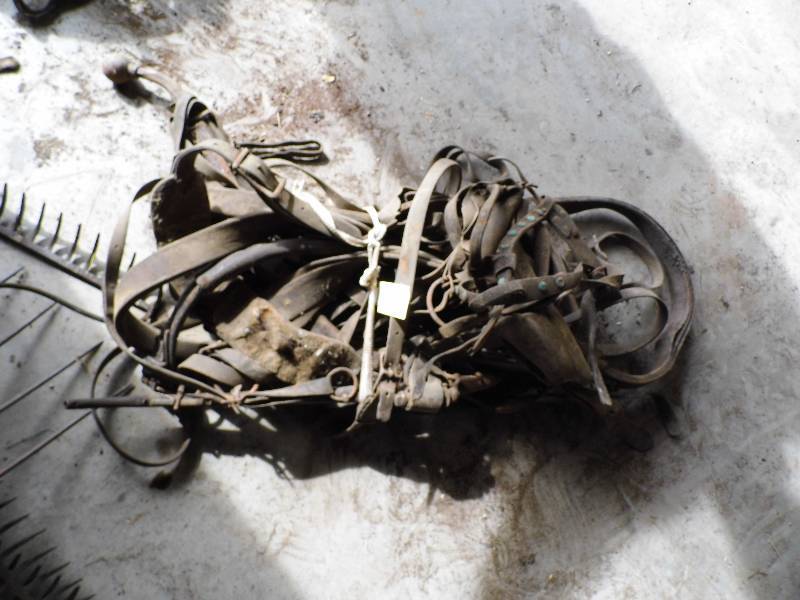Vintage Horse Tack