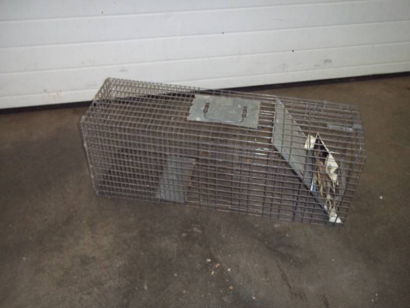 Live trap 10 x 12 x 32