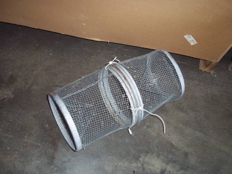 Minnow trap