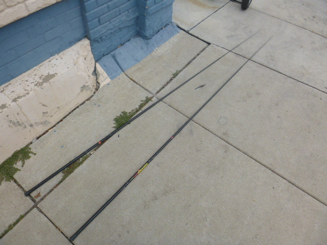 lot 395 image: 2 Black Widow Telescoping Poles