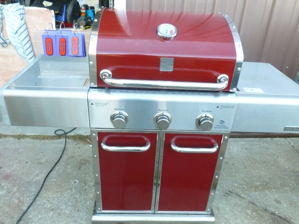 SnS Auctions # 230 Fall Grills & Outdoor