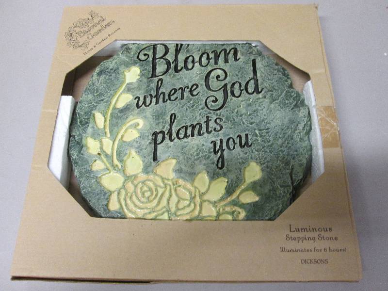 Inspirational Stepping Stone 11.5 i...