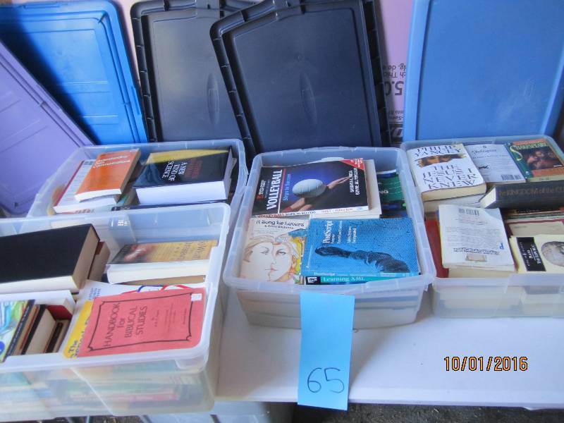 Plastic totes filled with books...