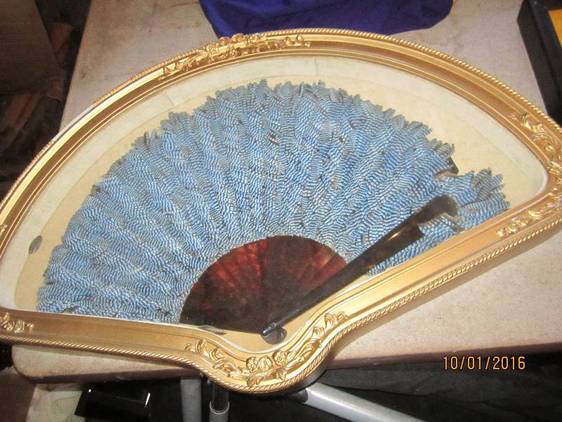 Framed feather fan...