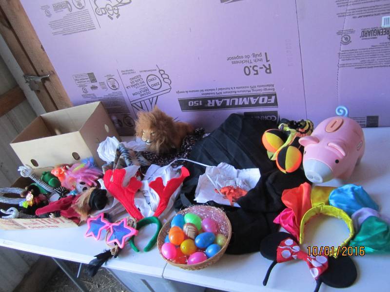 Lot of costumes and toys...