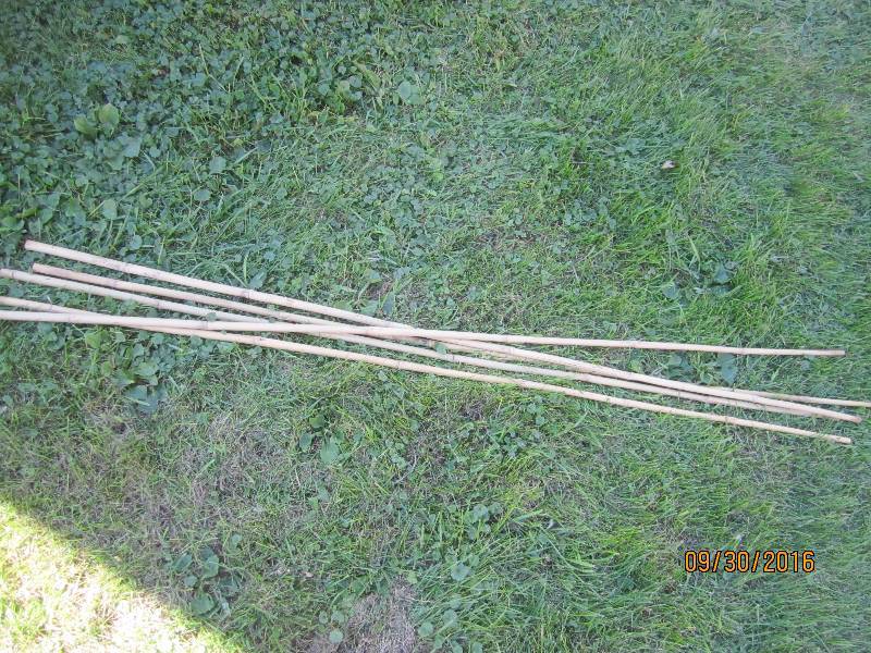 Lot of bamboo poles...