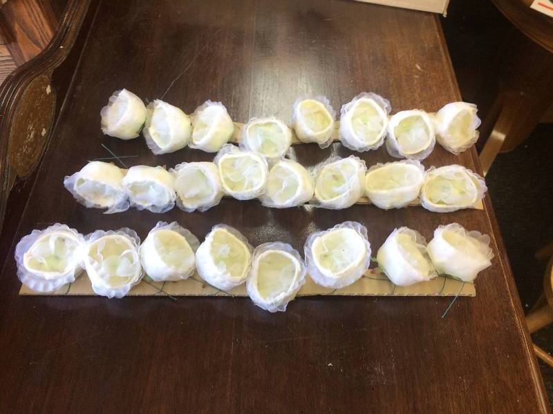 White Rose Buds