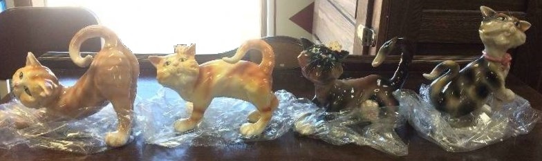 Crazy Cats