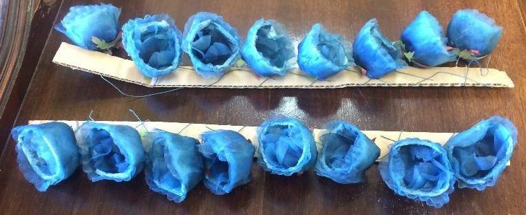 Blue Rose Buds