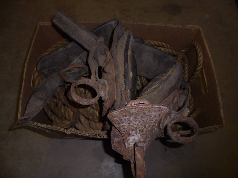 Long Length Barn Rope& Harness