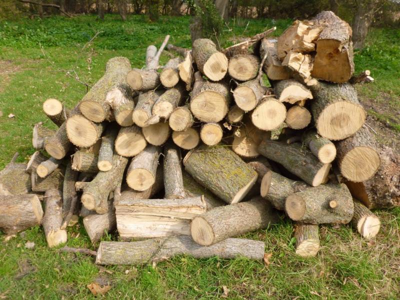 Firewood