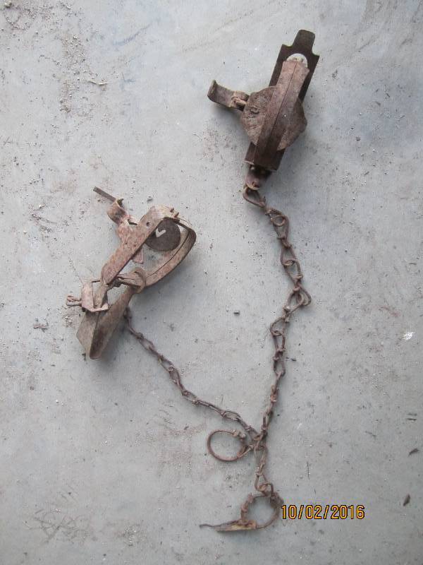 lot 116 image: 2 traps...