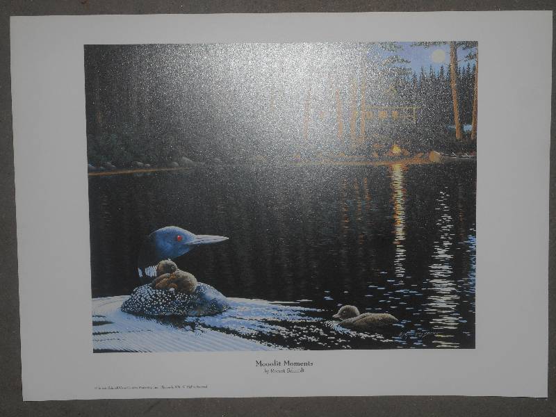Approx (60) Moonlit Moments Print...
