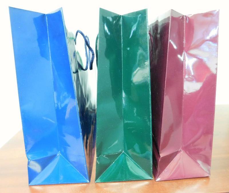 Glossy Shopping Bags - 16 x 4.75 x 13