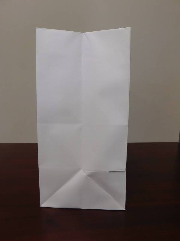Matte White Shopping Bags - 16 x 6 x 12