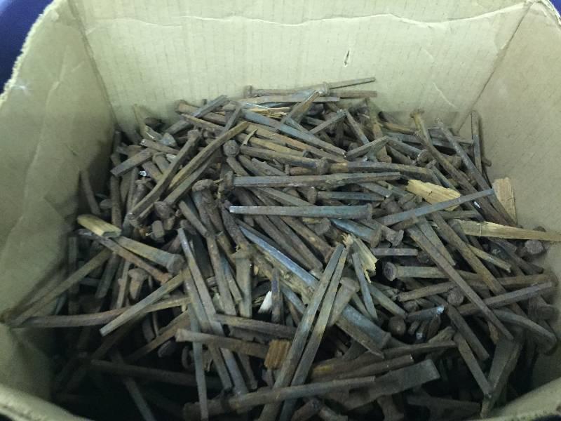 SQUARE HEADED NAILS (BOX)