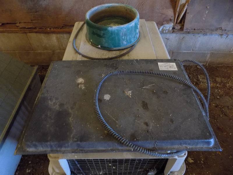 Large Dog KennelElectric Warming pad
