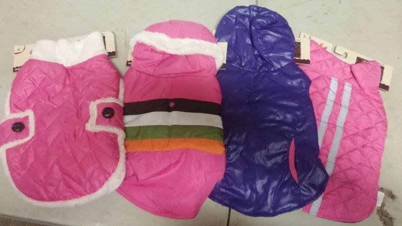 4 Small Dog Coats