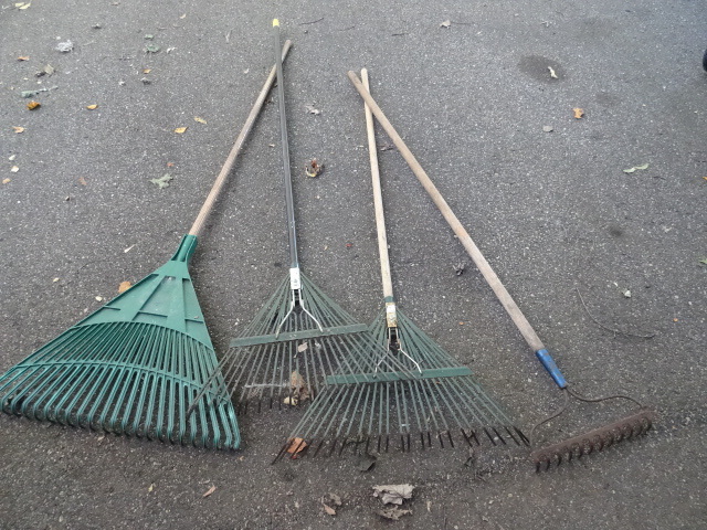 3 lawn rakes and 1 garden rake
