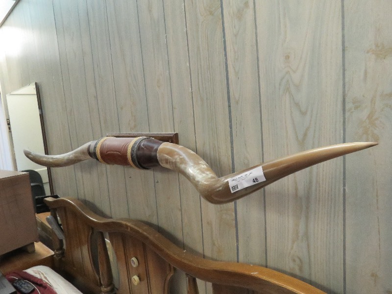 Long Horns