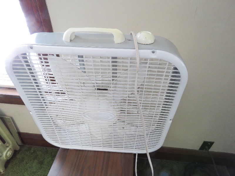 Fan lot