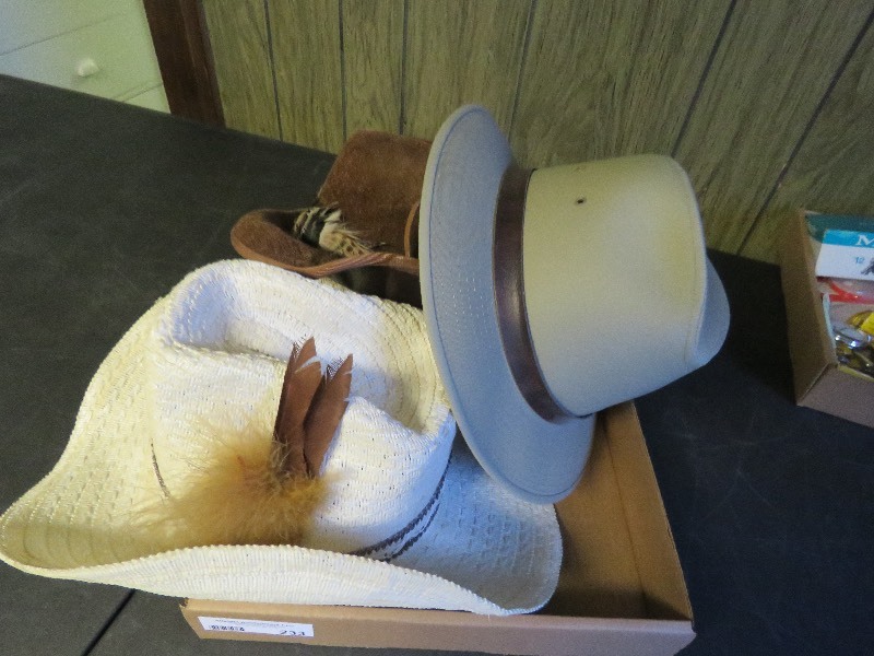 Hat lot