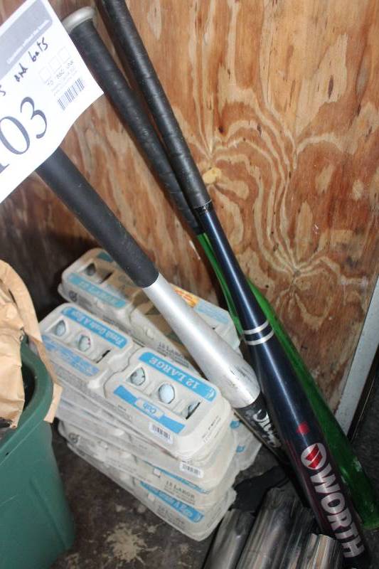 lot 103 image: Lot of Sporting Equipment Including Golf Balls, Aluminum Baseball Bats