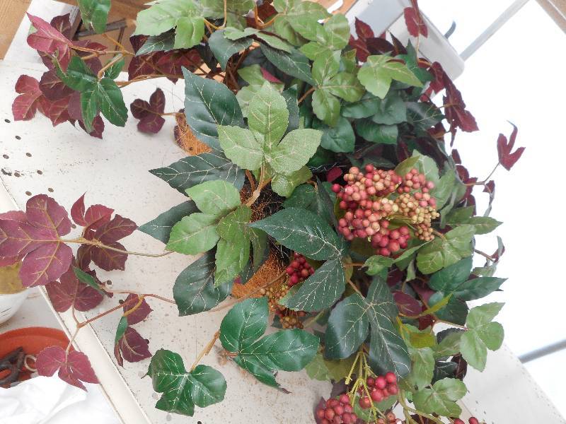 INDOOR  OUTDOOR HANGING PLANT