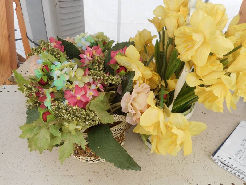 2 POTTED INDOOR DECRATIVE PLANTS