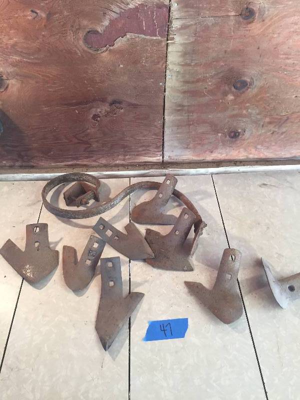 OLD DIGGER TEETH AND ARM