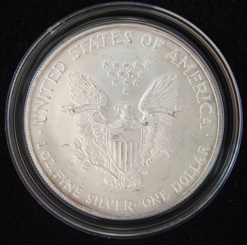 2005 AMERICAN SILVER EAGLE 1 TROY OZ. .999 FINE SILVER IN AIRTITE HOLDER
