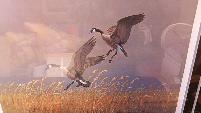 lot 94 image: A Pair of Canadas By Owen J. Gromme