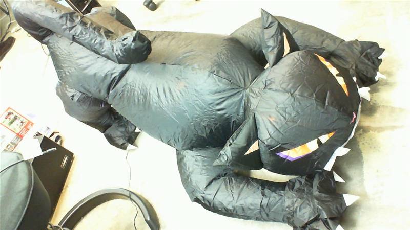 lot 36 image: Alcove 4ft Inflatable Crouching Black Cat Halloween