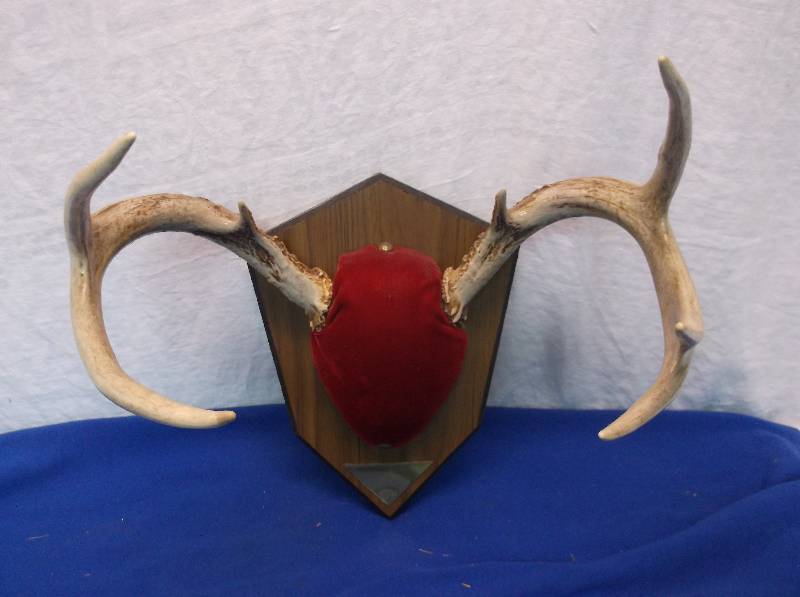 Deer Rack