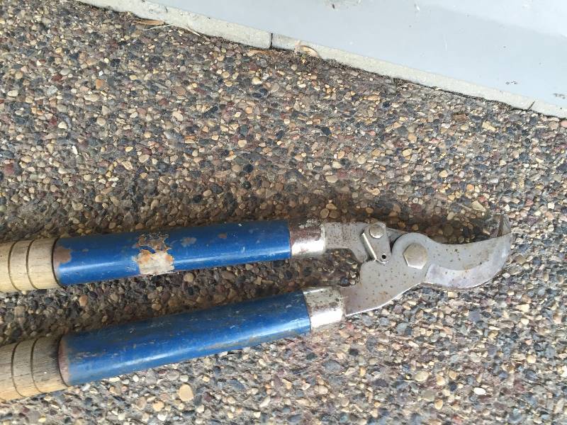 lot 17 image: HEDGE TRIMMERS
