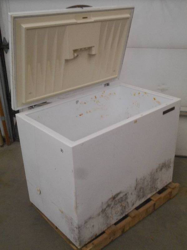 lot 23 image: Capri 120Volt Chest Freezer, Model ...