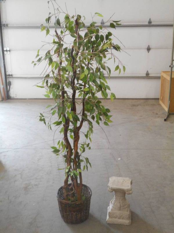 lot 105 image: (1) 6ft Artificial Tree & (1) Plant...