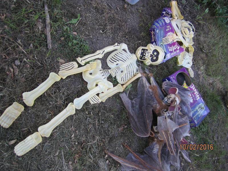 lot 11 image: Lot of Halloween dcor...