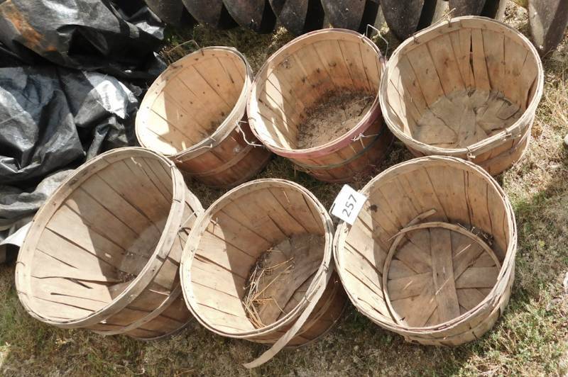 lot 257 image: 6 fruit bushel baskets