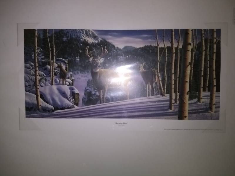 Morning View Print