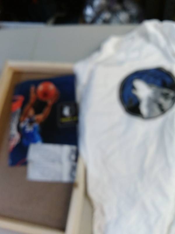 Minnesota Timberwolves Lot